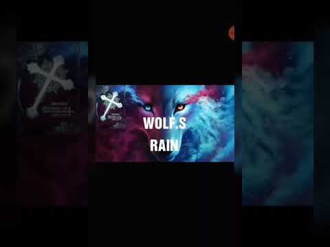 オルクスpv ギルド Wolf S Rain Mag Moe オルクスpv ギルド Wolf S Rain Mag Moe
