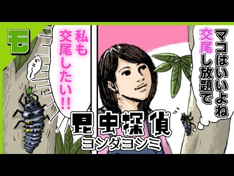 漫画 人間のように恋 交尾 したいテントウムシの話 昆虫探偵ヨシダヨシミ ボイスコミック 公式 Mag Moe