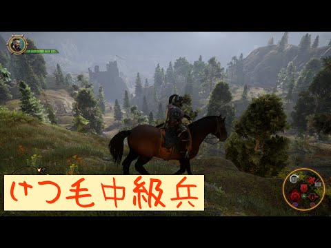 ドラゴンエイジ インクイジション 実況 番外編 ゲームシステムや個人的感想 Ps4 Dragon Age Inquisition けつ毛 3 Mag Moe