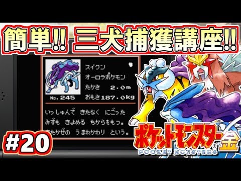 ポケモン金銀 ガチ解説 三犬捕獲講座 ポケットモンスター金銀 Vc版 攻略実況 Part Mag Moe