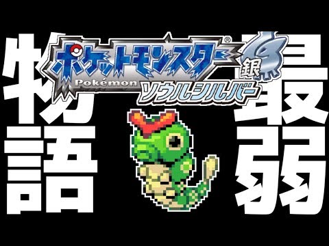 ポケモン鬼畜縛り 最弱 の 虫タイプ のみでクリアまで完全攻略 １ ソウルシルバー Mag Moe