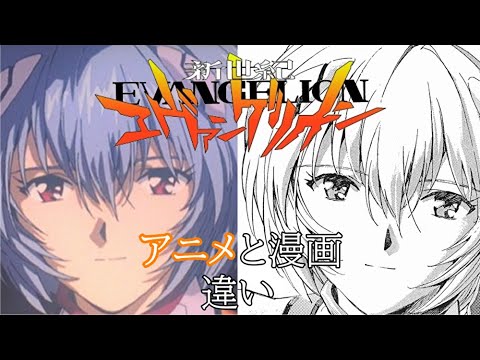 新世紀エヴァンゲリオン アニメと漫画の違い ゆっくり Eva Mag Moe