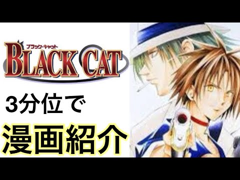 おっちゃんのマンガ紹介 Black Cat ブラック キャット は矢吹健太朗による漫画 およびそれを原作としたアニメなどの関連作品 Mag Moe