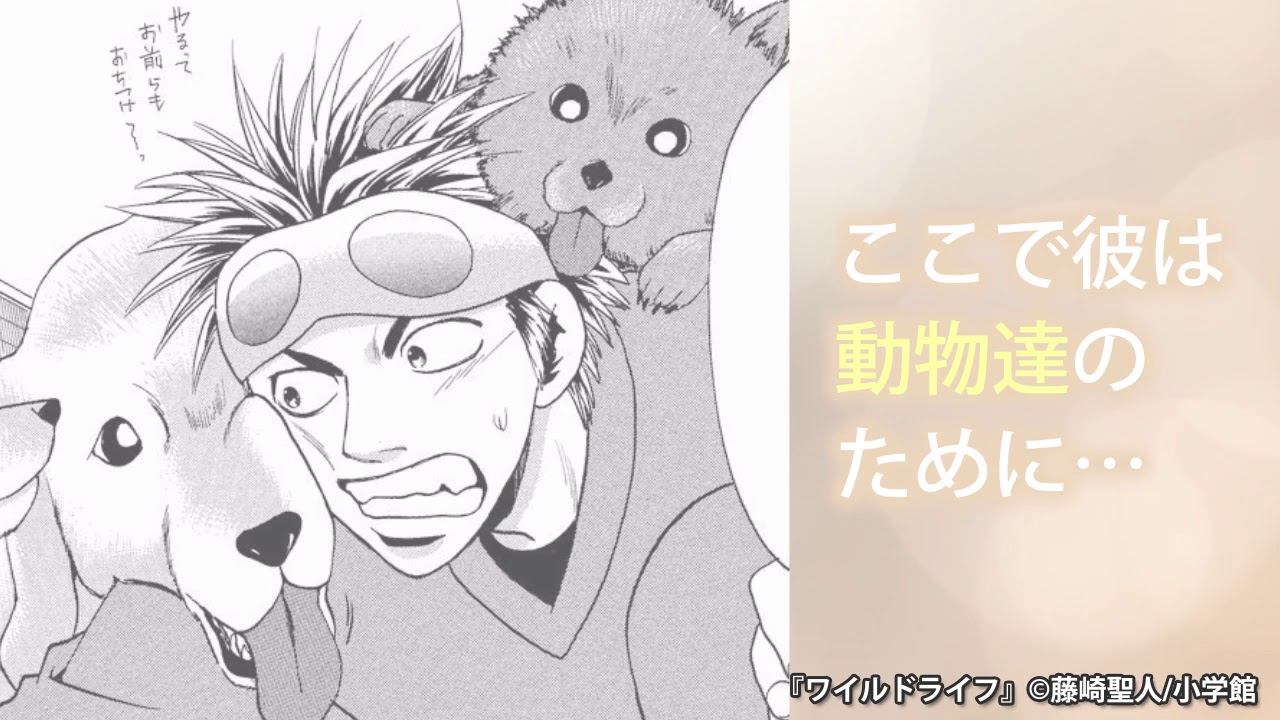 ワイルドライフ MAG.MOE