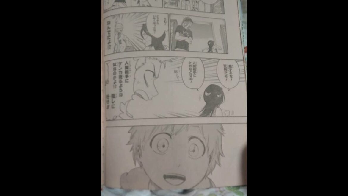 Bleach 866話 最終回 その2 Mag Moe