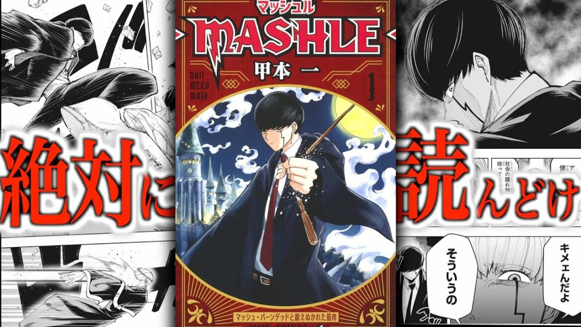 新連載 これから人気になる マッシュル Mashle という見ないと損する漫画を詳しく紹介します おすすめ 漫画紹介 マンガ アニメ オタク界のゆっけ Mag Moe