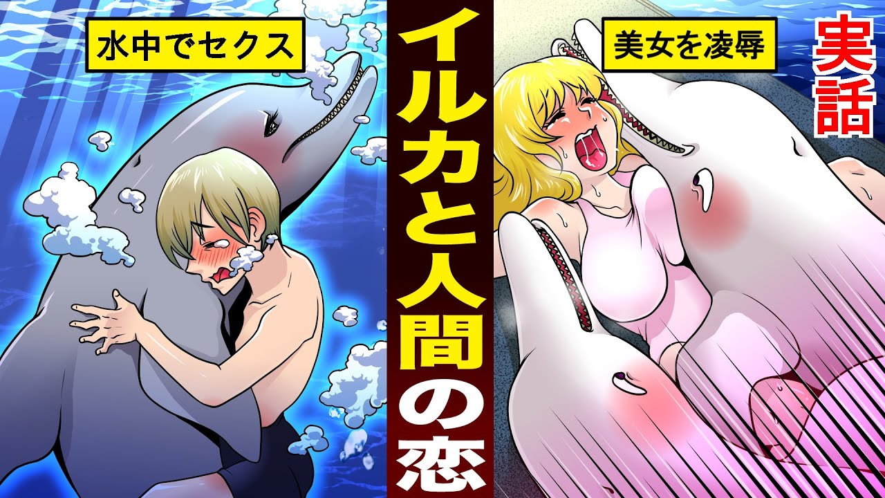 漫画 イルカと人間の恋 種族を超えた二組の男女 実話 Mag Moe