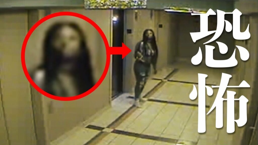 【心霊＆恐怖映像】カメラが捉えた恐怖の瞬間…5選【衝撃映像】 MAG.MOE