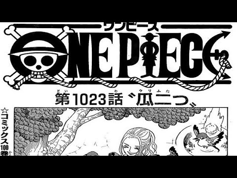 ワンピース 1023 Mag Moe