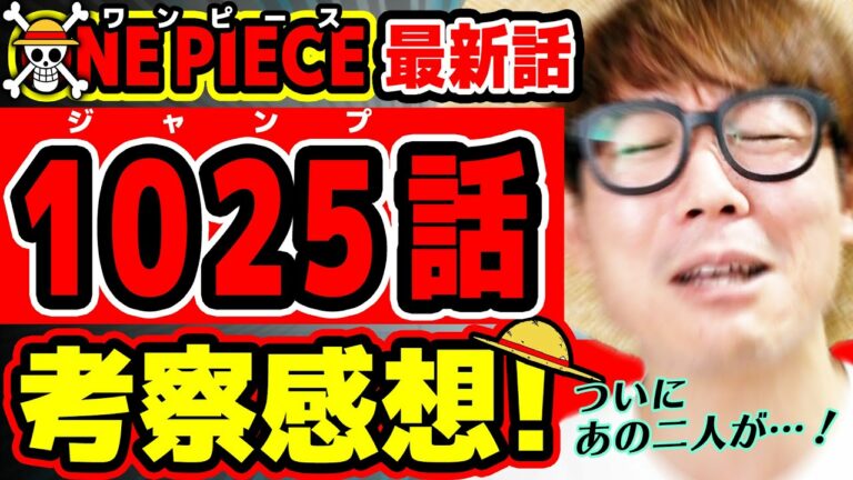 1025 One Piece Mag Moe