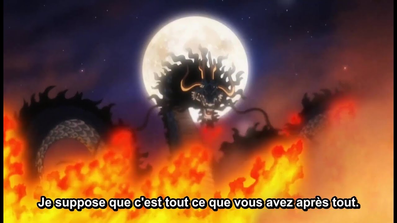 One Piece 1004 VOSTFR HD1080 - MAG.MOE