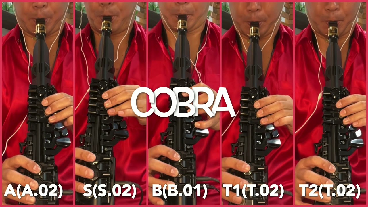 Cobra Yds150 デジタルサックス アニメ スペースコブラ Op Mag Moe