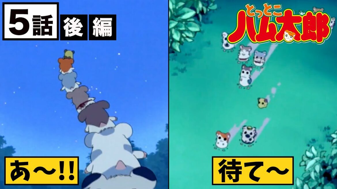 【公式】アニメ「とっとこハム太郎」5話・後編 うきゅー！星をとるのだ MAG.MOE