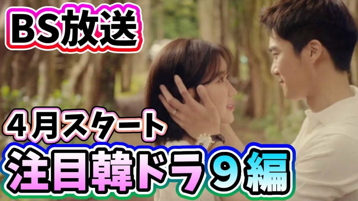 韓国ドラマ 胸キュン MAG.MOE