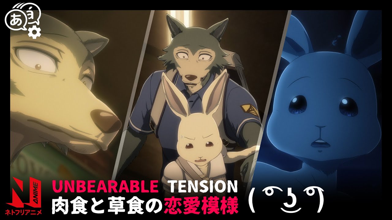 Hal Legoshi Will They Or Won T They NSFW BEASTARS Netflix Anime MAG MOE