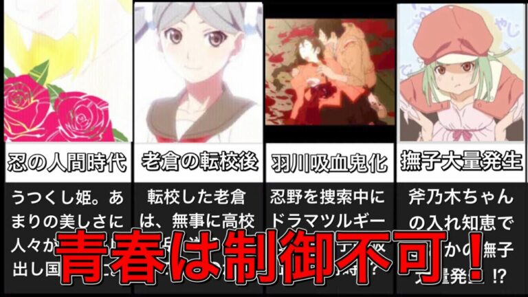 物語シリーズ 忍野メメ 名言集 化物語 猫物語 傷物語 終物語 Mag Moe