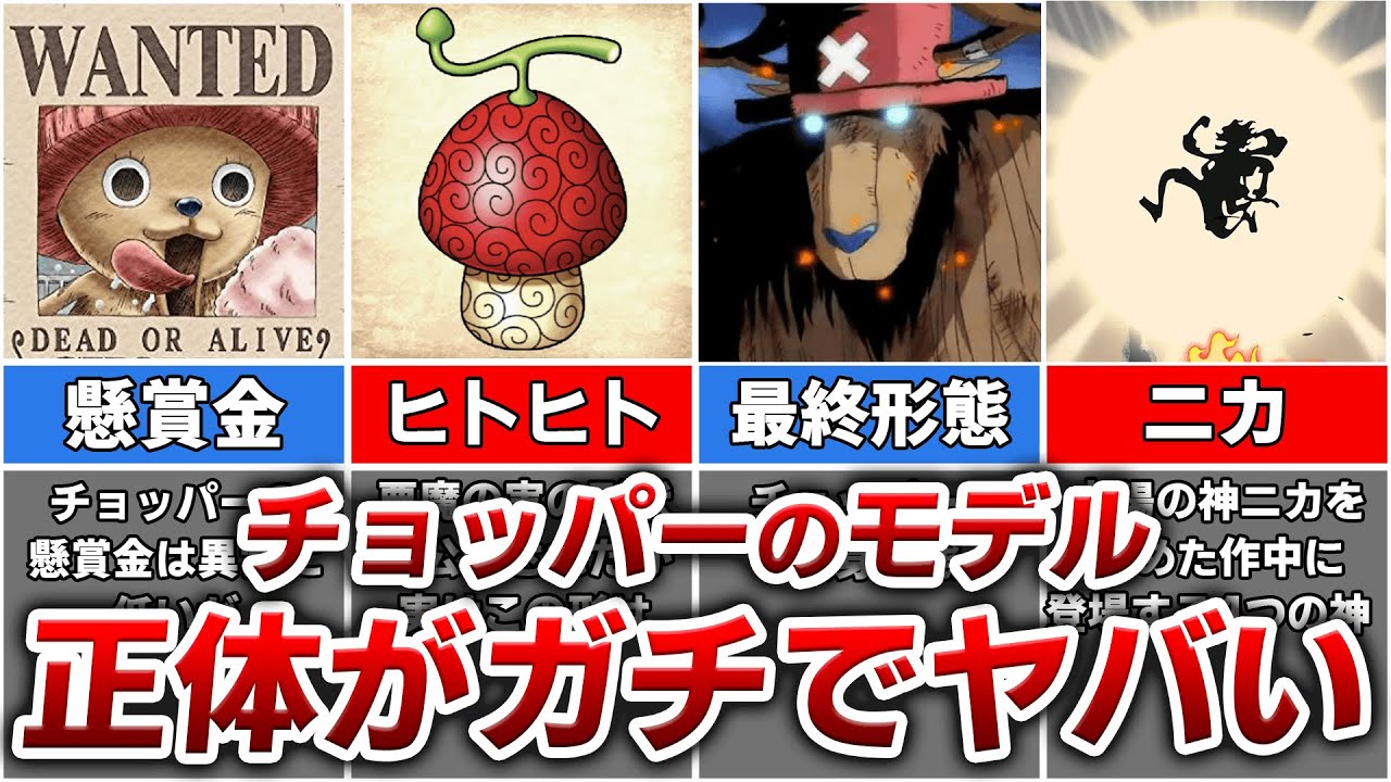 【ワンピース】チョッパーが食べたヒトヒトの実のガチでヤバい正体 MAG.MOE