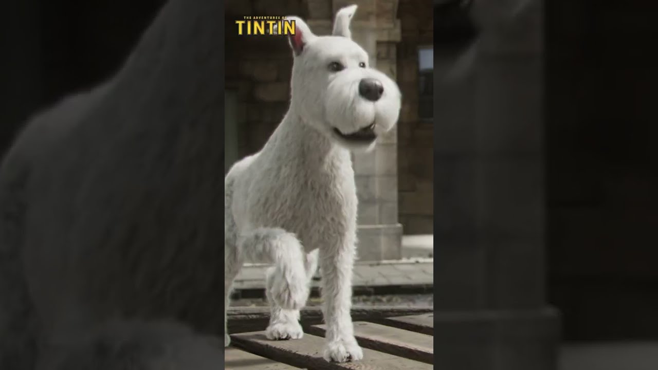 The Adventures of Tintin: Dog Under the Cows (#movie #4k #shorts #hd ...